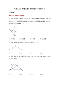 专题2.14 等腰三角形的对称性（专项练习2）-八年级数学上册基础知识专项讲练（苏科版）