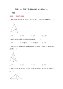 专题2.13 等腰三角形的对称性（专项练习1）-八年级数学上册基础知识专项讲练（苏科版）