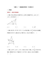 专题2.7 线段的对称性（专项练习）-八年级数学上册基础知识专项讲练（苏科版）