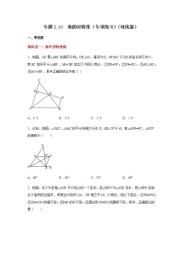 专题2.10 角的的对称性（专项练习）（培优篇）-八年级数学上册基础知识专项讲练（苏科版）