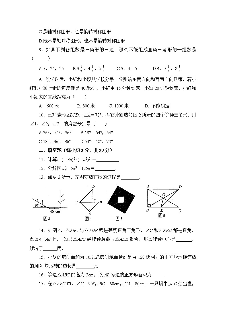 （华师版）泉州市丰泽区2021-2022年八年级上学期期末综合测试（带答案）第2页