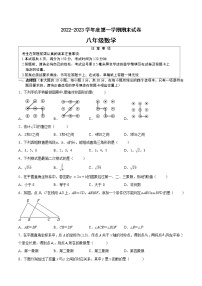 2022-2023学年江苏省南通地区八年级上学期数学期末卷Ⅱ（有答案）