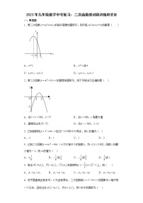 2023年九年级数学中考复习：二次函数的对称训练附答案