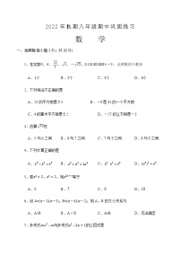 河南省南阳市南召县2022-2023学年八年级上学期期中数学练习题(含答案)