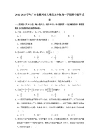 2022-2023学年广东省梅州市大埔县人教版九年级（上）期中数学试卷(解析版)