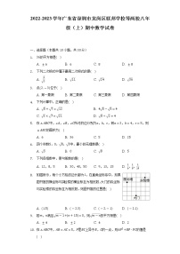 2022-2023学年广东省深圳市龙岗区联邦学校等两校八年级（上）期中数学试卷(解析版)