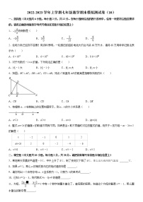 2022-2023学年上学期七年级数学期末模拟测试卷（10）