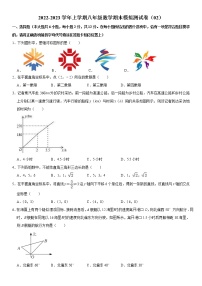 2022-2023学年上学期八年级数学期末模拟测试卷（02）