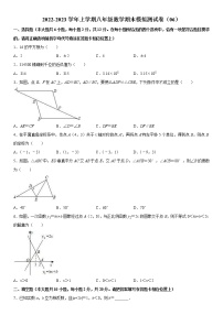 2022-2023学年上学期八年级数学期末模拟测试卷（06）