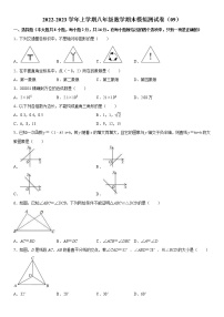 2022-2023学年上学期八年级数学期末模拟测试卷（09）