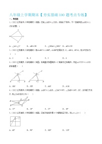 2022-2023学年八年级数学上学期期末【夯实基础100题考点专练】