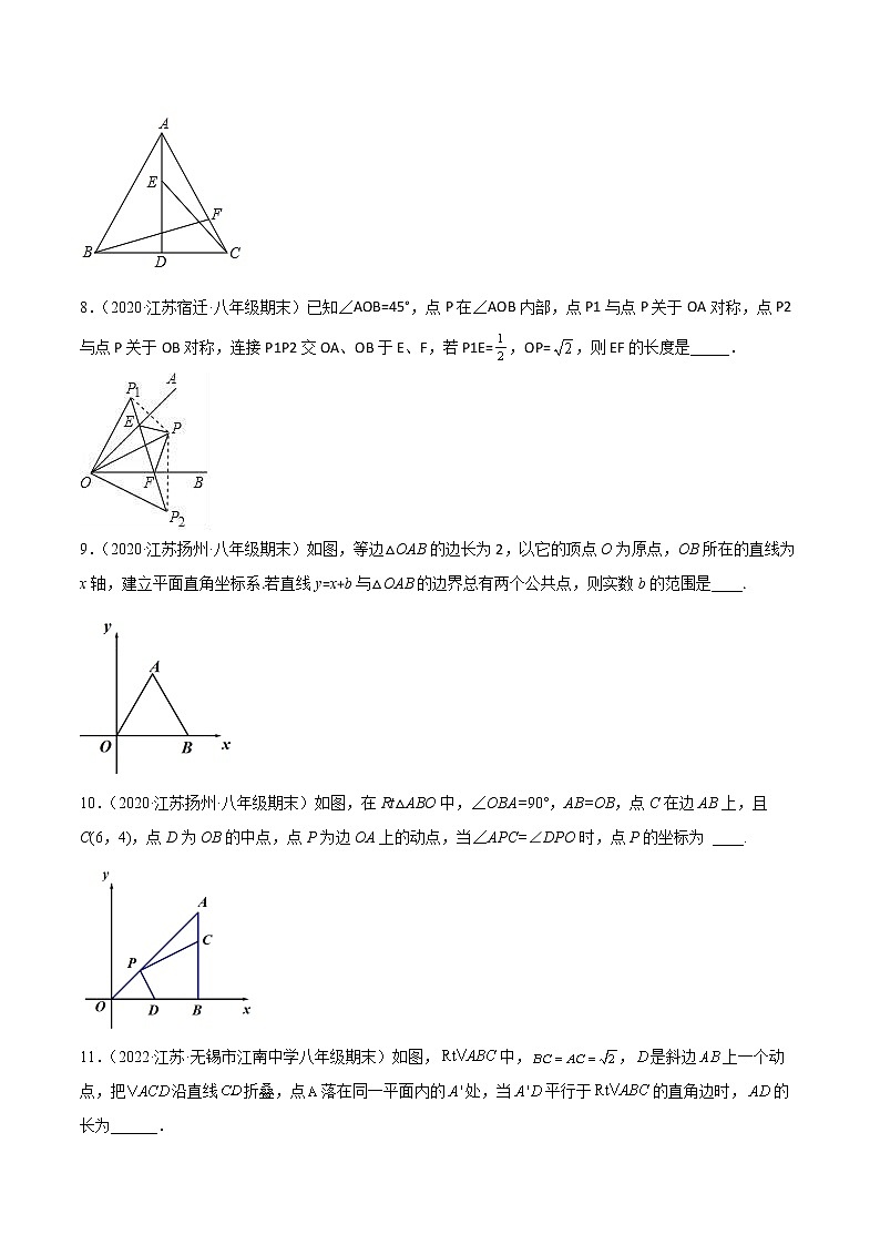 2022-2023学年八年级数学上学期期末【压轴60题考点专练】第3页