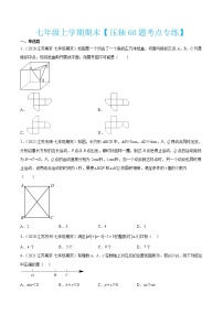 2022-2023学年七年级数学上学期期末【压轴60题考点专练】