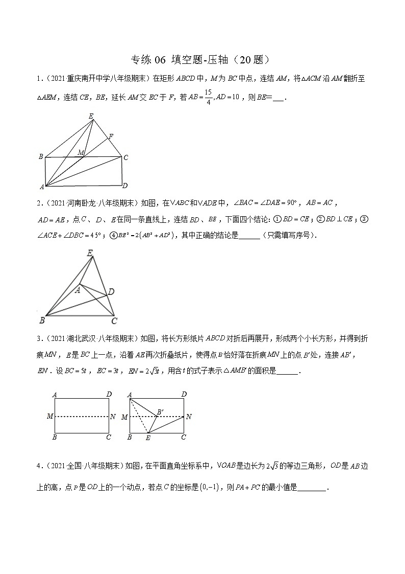【期末考前必练】2022-2023学年北师大版数学八年级上册期末考点必刷题：专练06 填空题-压轴（20题） （原卷版）第1页