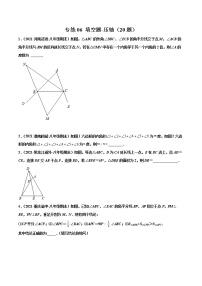 【期末考前必练】2022-2023学年人教版数学八年级上册期末考点必刷题：专练06 填空题-压轴（20题）