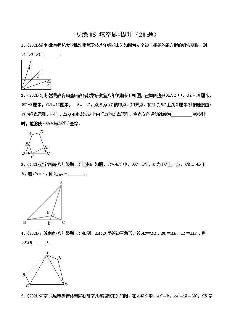 【期末考前必练】2022-2023学年苏科版数学八年级上册期末考点必刷题：专练05 填空题-提升（20题）01