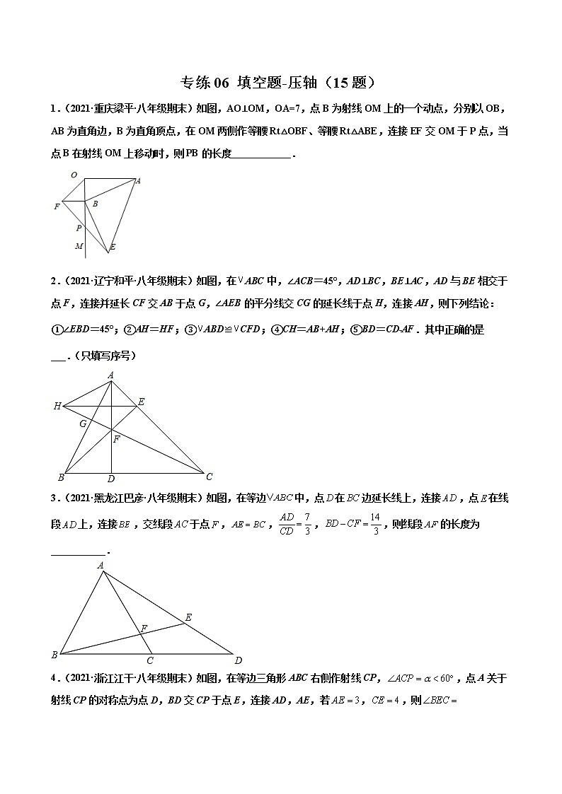 【期末考前必练】2022-2023学年苏科版数学八年级上册期末考点必刷题：专练06 填空题-压轴（15题）01
