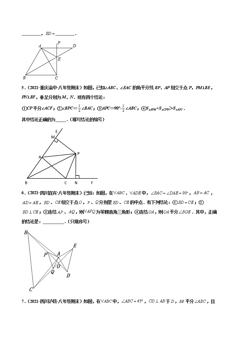 【期末考前必练】2022-2023学年苏科版数学八年级上册期末考点必刷题：专练06 填空题-压轴（15题）02