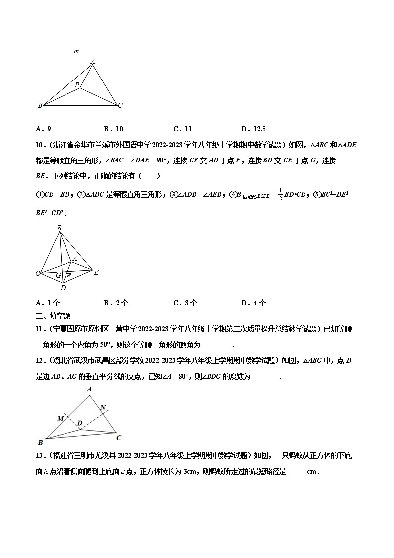 【期末考前必练】2022-2023学年苏科版数学八年级上册期末考点必刷题：期末复习卷（二）（原卷版）第3页