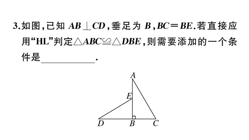 北师大版八年级数学下1.2 第2课时 直角三角形全等的判定课堂习题课件05