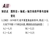 北师大版八年级数学下第三章图形的平移和旋转3.1 第2课时 坐标系中的点沿x轴、y轴的一次平移课后习题课件