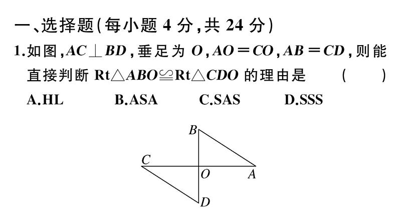 北师大版八年级数学下第一章三角形的证明综合滚动练习：特殊的三角形课后习题课件第2页