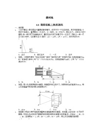 北师大版6 利用相似三角形测高课时练习