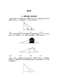 北师大版九年级上册6 利用相似三角形测高课时练习