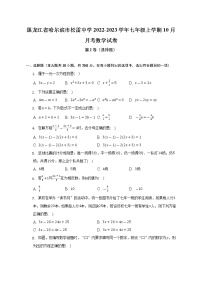 黑龙江省哈尔滨市松雷中学2022-2023学年七年级上学期10月月考数学试卷(解析版)