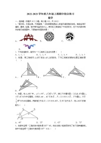 河南省信阳市淮滨县2022-2023学年八年级上学期期中数学试题(含答案)