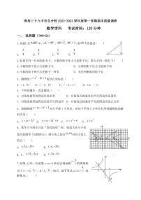 山东省青岛市三十九中市北分校2022-2023学年九年级上学期期末数学试题