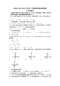 广东省深圳市龙岗区2022-2023学年八年级上学期期末考试数学试题(无答案)