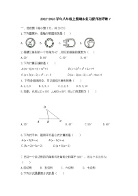 人教版 八年级上册数学期末复习提升测评卷（无答案）