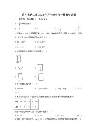 四川省内江市2022年九年级中考一模数学试卷(含答案)