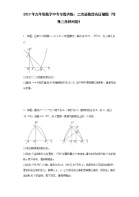 2023年九年级数学中考专题训练：二次函数综合压轴题（特殊三角形问题）及答案