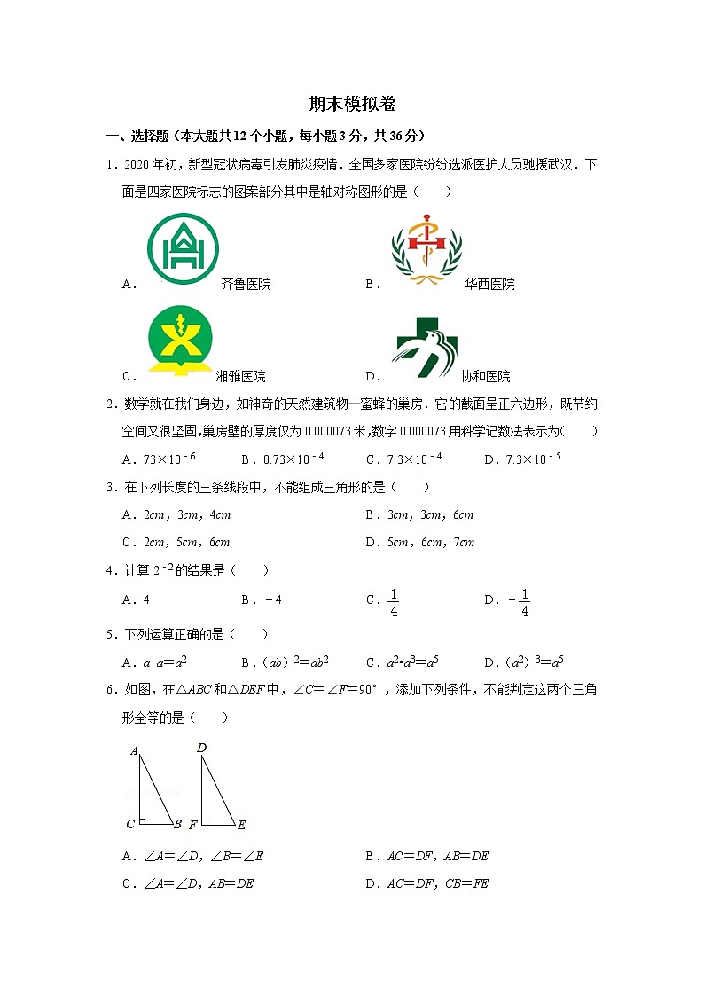 2022郡维八年级期末模拟数学试卷01