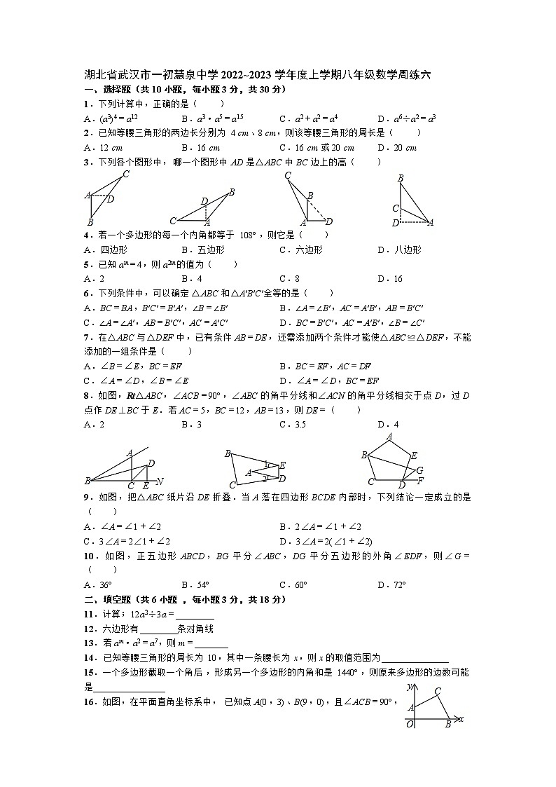 湖北省武汉市一初慧泉中学2022~2023学年度上学期八年级数学周练六01