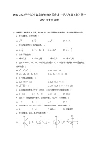 2022-2023学年辽宁省阜新市细河区育才中学八年级（上）第一次月考数学试卷(解析版)