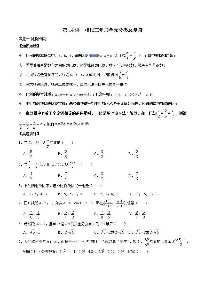 第14讲 相似三角形单元分类总复习（原卷版）第1页