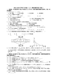 苏州市2022-2023学年八年级（上）期末数学复习卷三