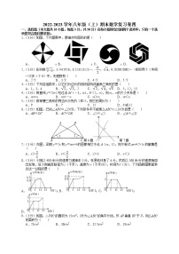 苏州市2022-2023学年八年级（上）期末数学复习卷四