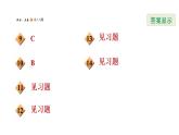 1.2.2反比例函数的性质-2022秋鲁教版（五四制）九年级数学上册习题课件