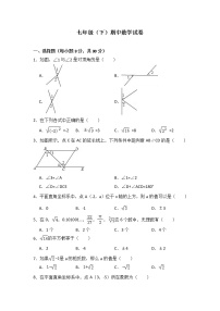 北师大版七年级数学下册期中考试模拟卷02