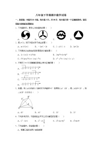 北师大版八年级数学下册期中考试模拟卷02