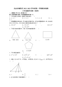 北京市朝阳区2022-2023学年八年级上学期期末检测数学试题