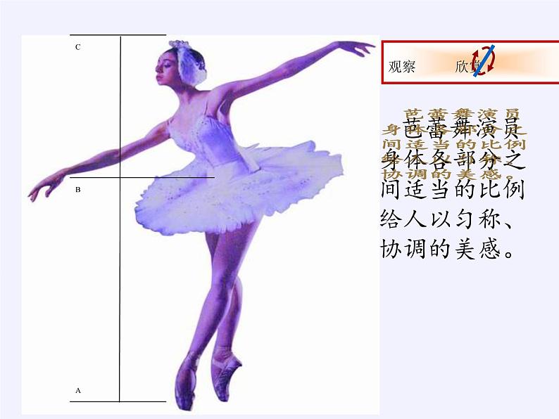 江苏科学技术出版社初中数学九年级下册 6.2 黄金分割   课件302