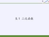 江苏科学技术出版社初中数学九年级下册 5.1 二次函数    课件8