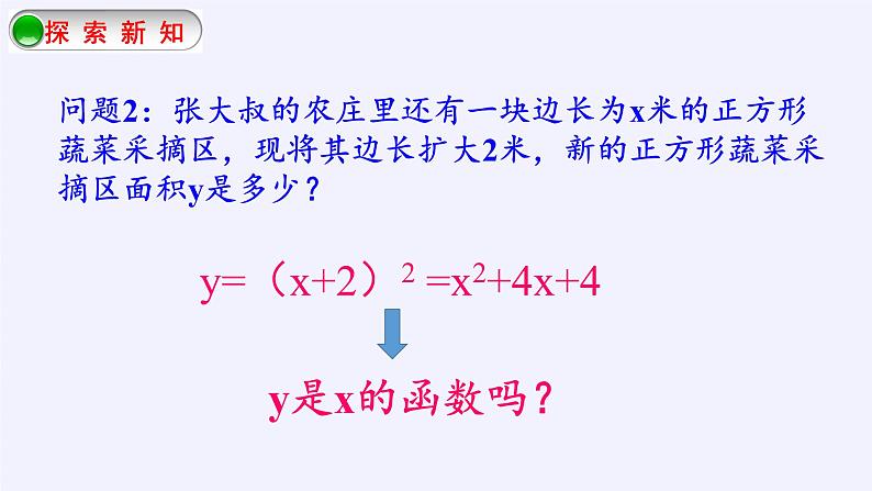 江苏科学技术出版社初中数学九年级下册 5.1 二次函数    课件9第4页