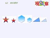 江蘇科學(xué)技術(shù)出版社初中數(shù)學(xué)九年級下冊 6.3 相似圖形   課件2