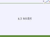 江蘇科學(xué)技術(shù)出版社初中數(shù)學(xué)九年級下冊 6.3 相似圖形   課件